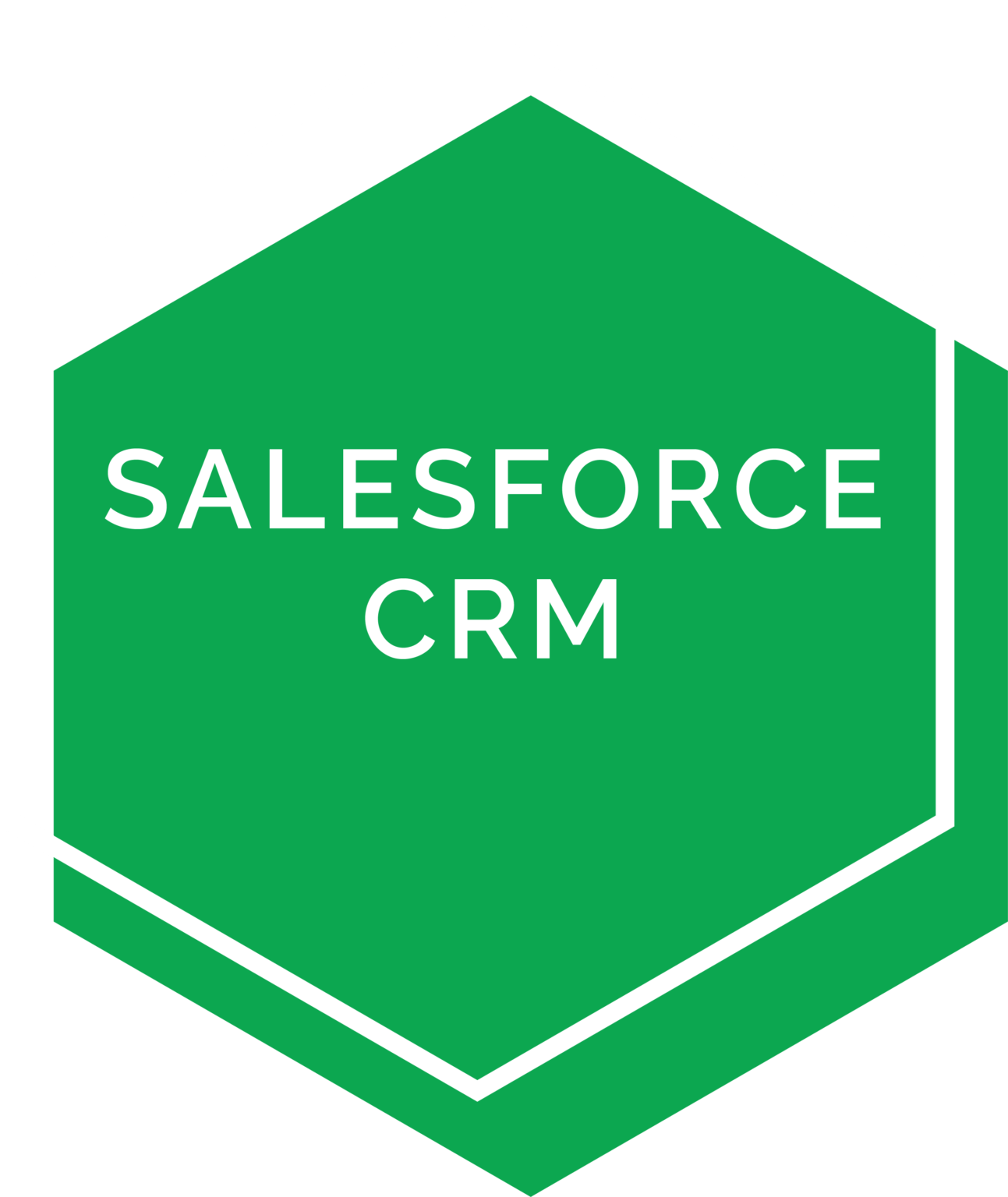 salesforce-crm-analytics-hive