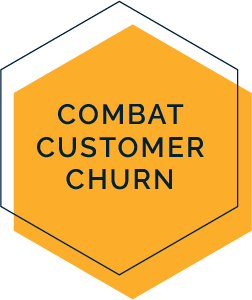 Analytics Hive Services - Combat Customer Churn